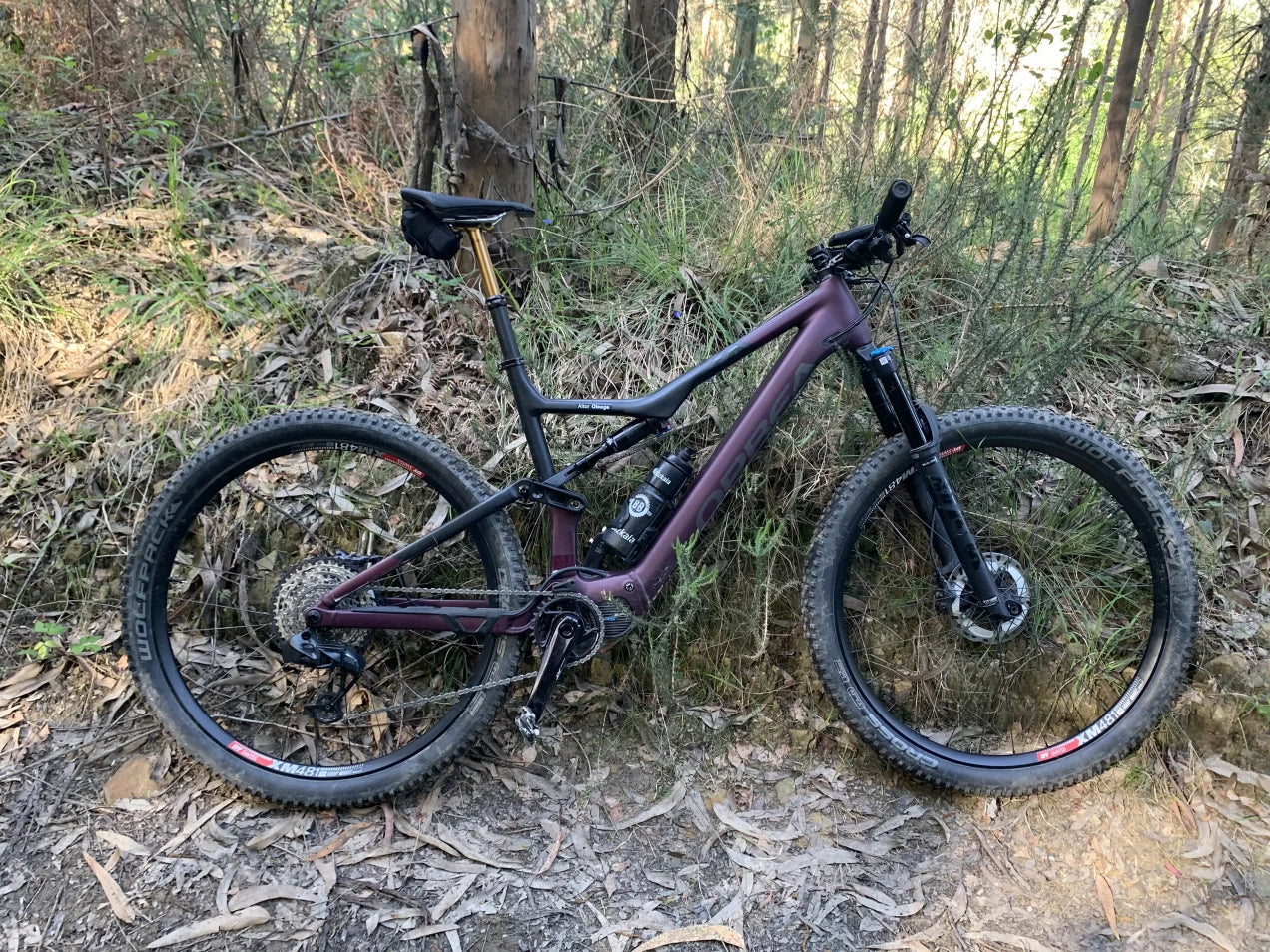 Orbea Rise H30 spesialtilbud Metallic Mullbery