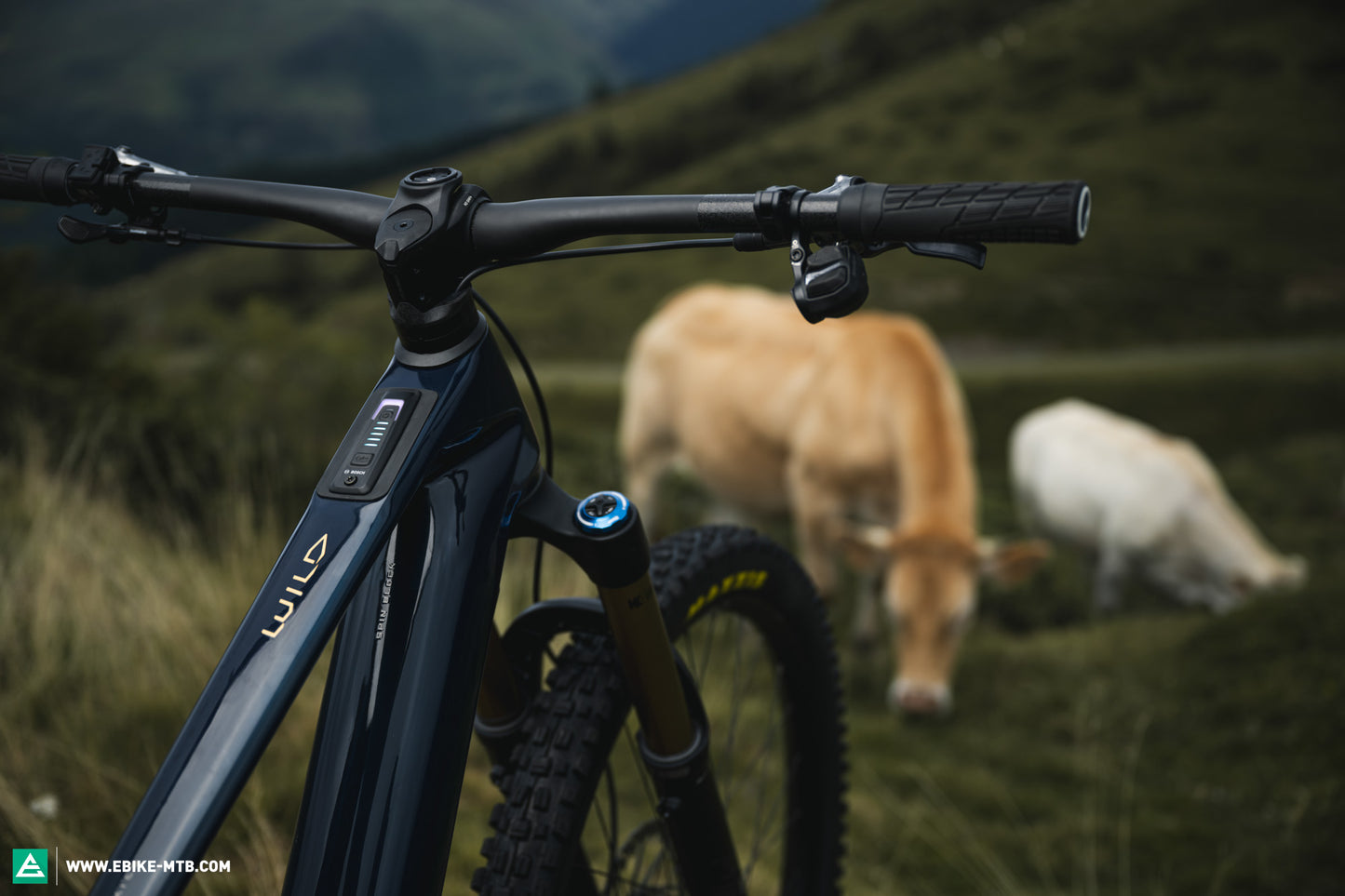 Sluttsalg! Orbea WILD H10 2025 elektrisk fulldemper