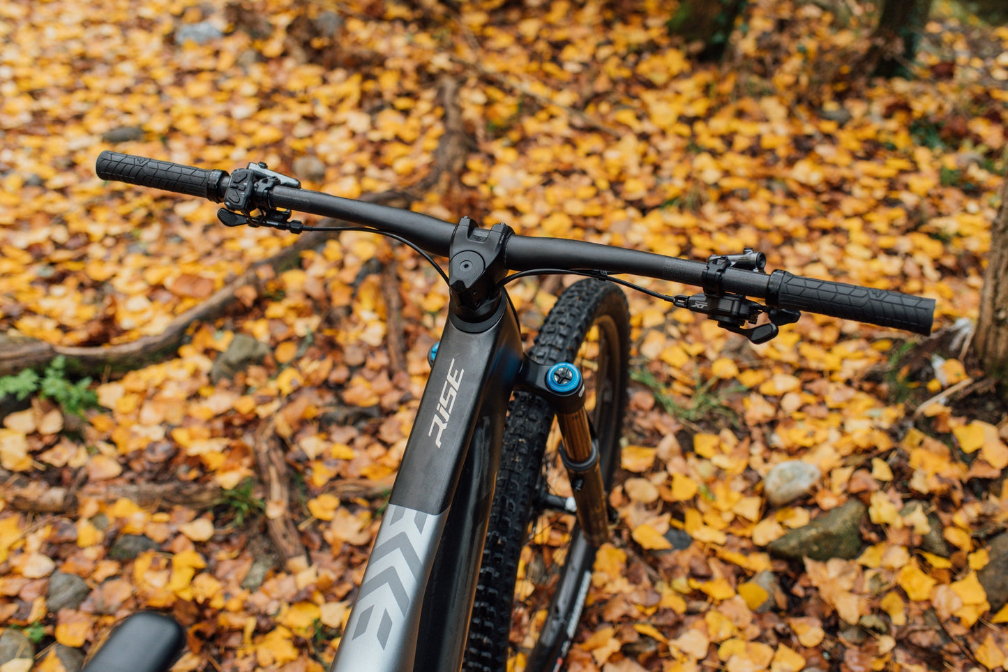 Orbea Rise M20. Superlett karbon EMTB. Crazy deal!