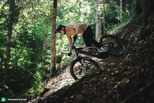 Orbea Wild 2025