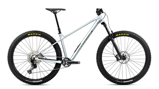 Orbea Laufey H10 2026 Smooth Silver / Titanium