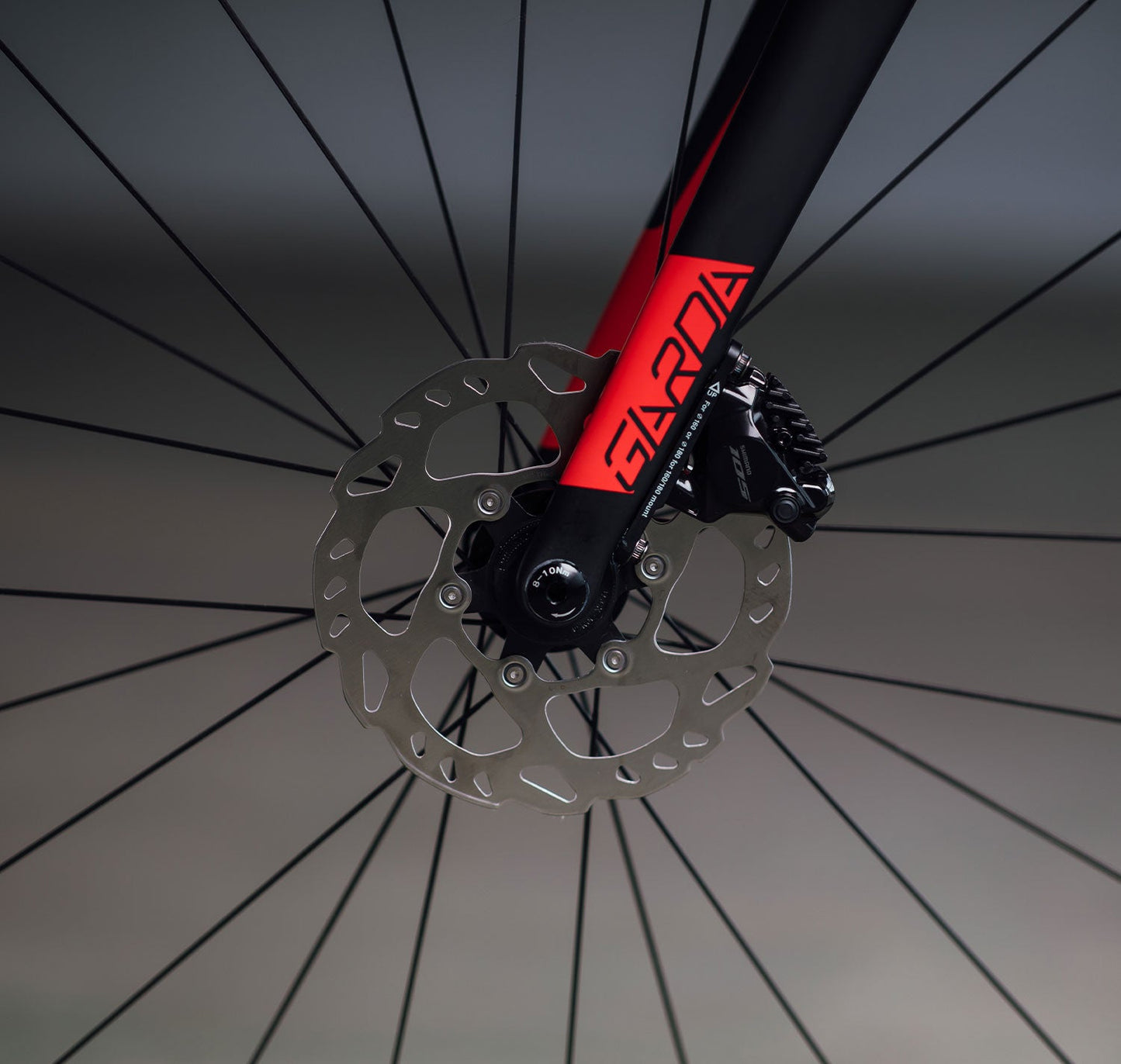Wilier Garda 105 Di2 2024 (overligger kupp!)